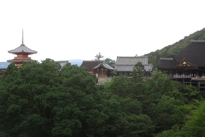 Kyoto ITALIAN GUIDE, Kiyomizu Temple Gion Pagoda Maiko Geisha — photo 8