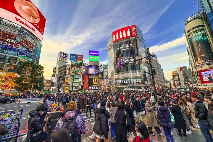 Private Full-day Tokyo Walking Subway Tour by Japan Gray Line — photo 1