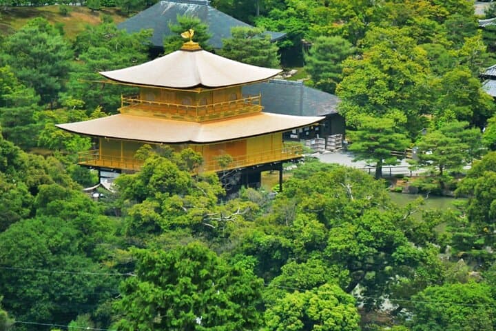 Kyoto ENGLISH GUIDE, Golden Pagoda Bamboo Forest Arashiyama — photo 5