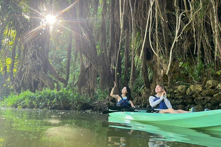 Mangrove Kayak ＆ Sea Fishing Experience in Okinawa — photo 4