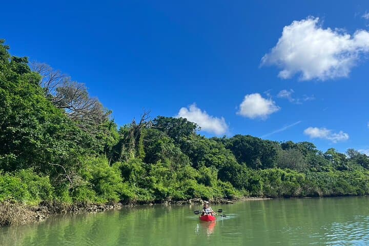 Mangrove Kayak ＆ Sea Fishing Experience in Okinawa — photo 5