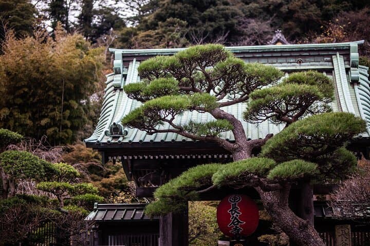 Kamakura Full-Day Private Tour from Tokyo (Customizable) — photo 4