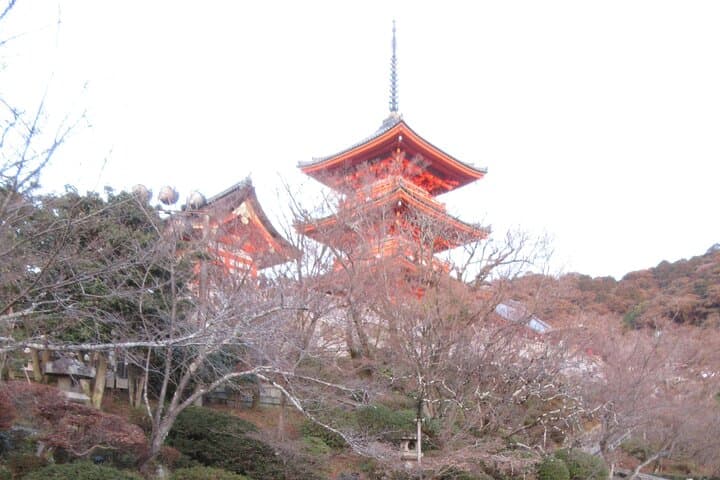 Kyoto ITALIAN GUIDE, Kiyomizu Temple Gion Pagoda Maiko Geisha — photo 6