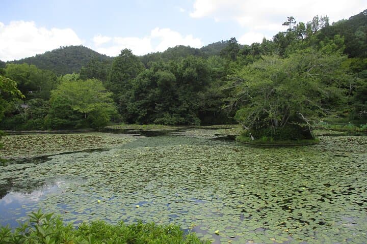 Kyoto ENGLISH GUIDE, Golden Pagoda Bamboo Forest Arashiyama — photo 7