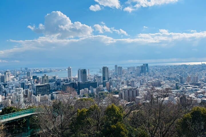 Full Day Walking Tour Around Kobe Mountains Sea and Sake — photo 6