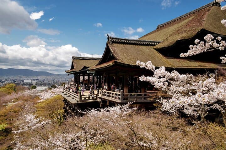 One-Day Tour of Kyoto's Highlights from Osaka/Kyoto — photo 8