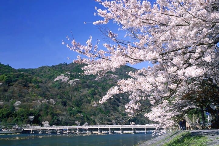 One-Day Tour of Kyoto's Highlights from Osaka/Kyoto — photo 9