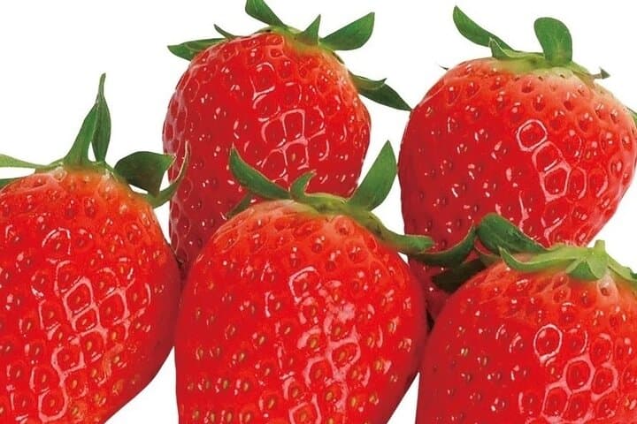All You Can Eat Strawberry Picking in Izumisano Osaka — photo 13