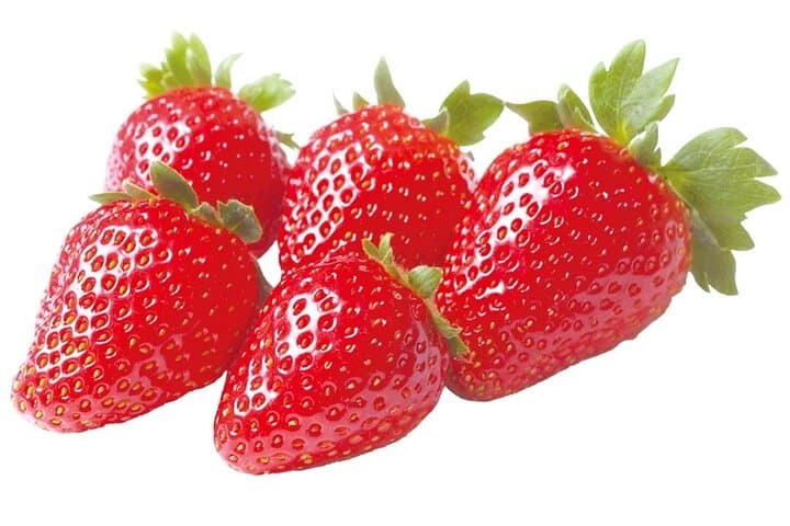 All You Can Eat Strawberry Picking in Izumisano Osaka — photo 15