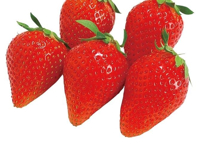 All You Can Eat Strawberry Picking in Izumisano Osaka — photo 18