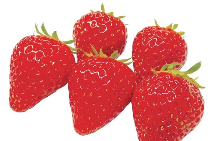 All You Can Eat Strawberry Picking in Izumisano Osaka — photo 19