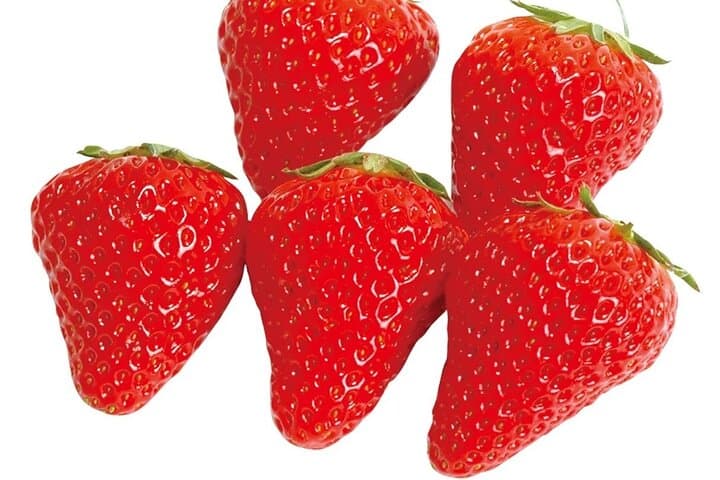 All You Can Eat Strawberry Picking in Izumisano Osaka — photo 20