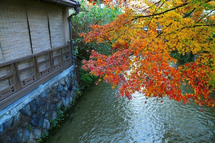 KYOTO GION Walking PRIVATE Tour and Customized Kappo Dinner — photo 13