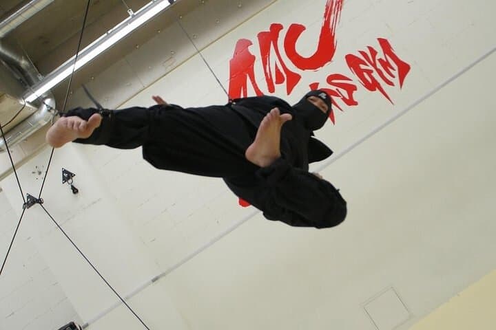 Ninja Wire Action Experience — photo 10