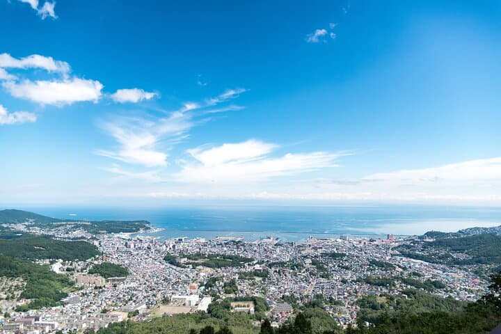 Otaru 6hr Private Trip with Government-Licensed Guide — photo 15