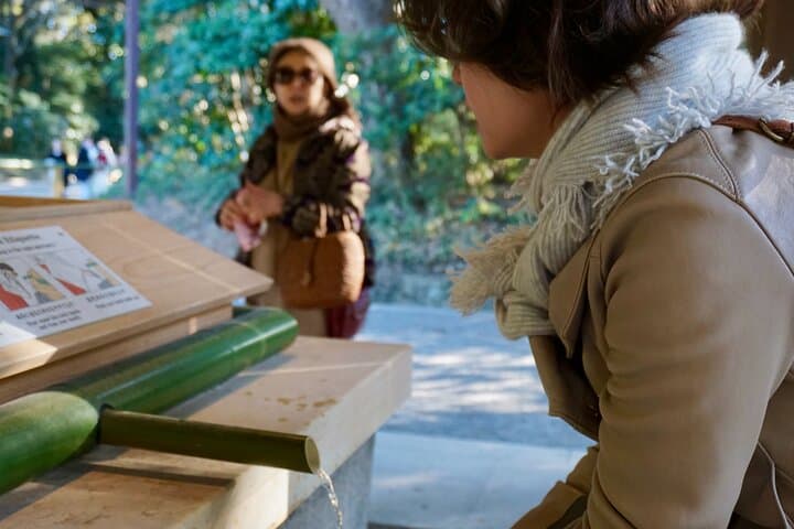 Tokyo: Harajuku Meiji Shrine Guided Tour-Discover Shinto — photo 8