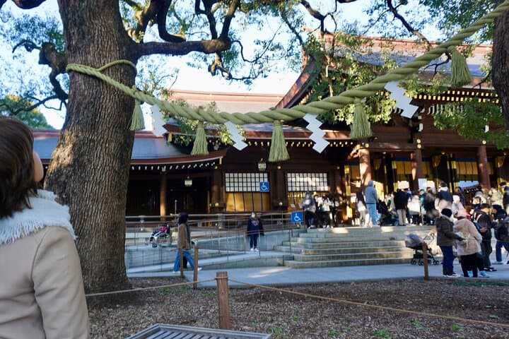 Tokyo: Harajuku Meiji Shrine Guided Tour-Discover Shinto — photo 3
