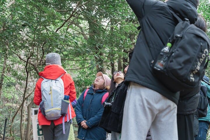 Forest Therapy in Sasaguri town — photo 4
