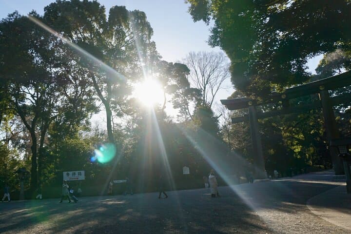 Tokyo: Harajuku Meiji Shrine Guided Tour-Discover Shinto — photo 6