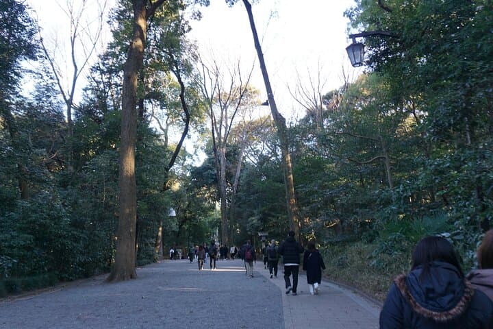 Tokyo: Harajuku Meiji Shrine Guided Tour-Discover Shinto — photo 13