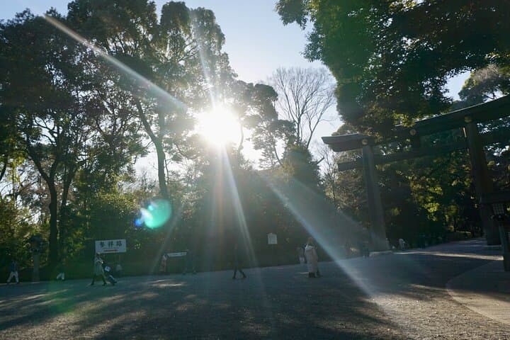 Tokyo Walking Tour: Meiji Shrine, Harajuku&Shibuya Crossing — photo 6