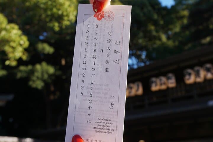 Tokyo Walking Tour: Meiji Shrine, Harajuku&Shibuya Crossing — photo 7