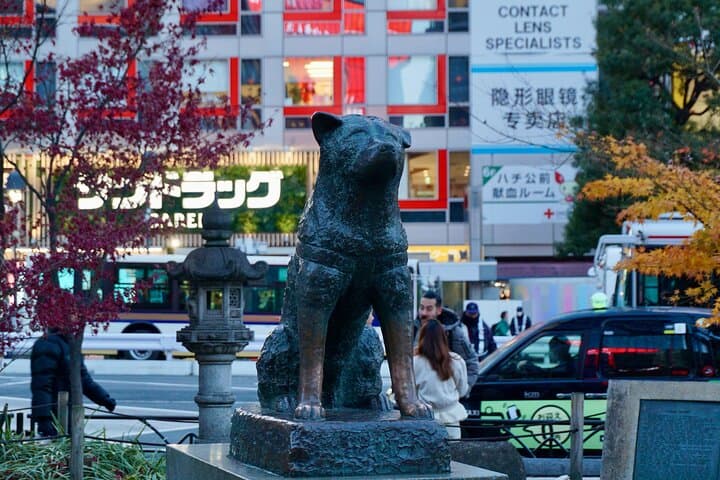 Tokyo Walking Tour: Meiji Shrine, Harajuku&Shibuya Crossing — photo 16
