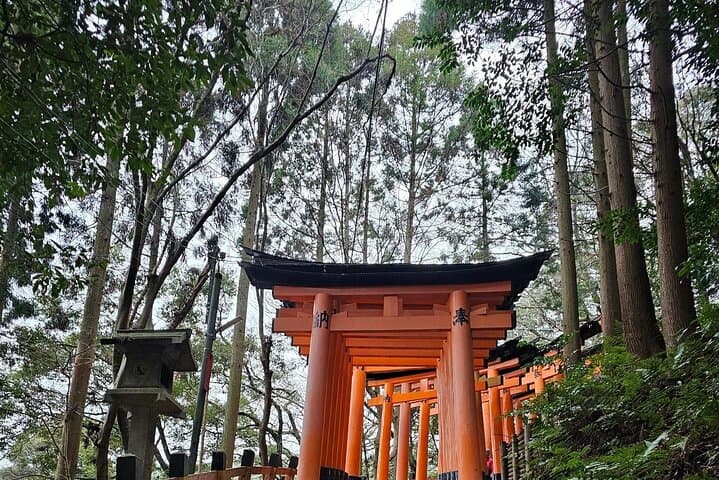 Mt. Fuji Day Trip from Tokyo with English Speaking Driver Guide — photo 4