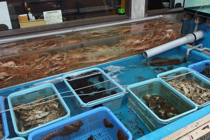 Private Full Day Guided Tour In Hakodate — photo 8