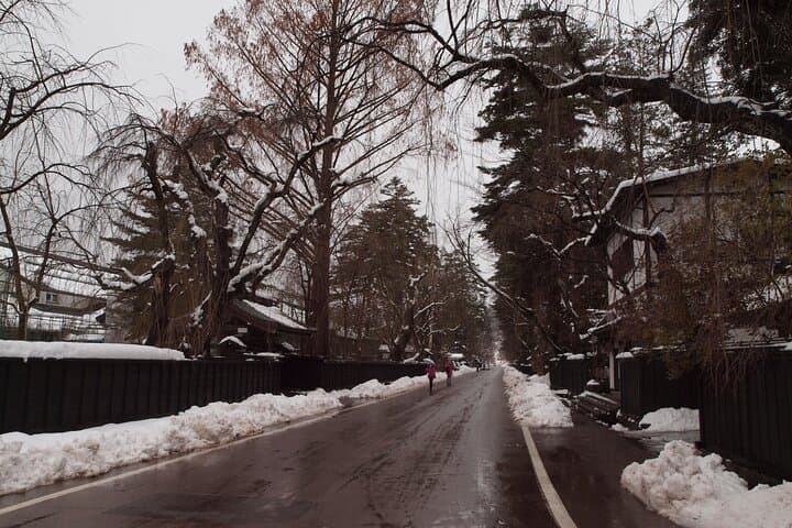 Half Day Tour to Akita, Samurai Town with Lisenced Guide — photo 17