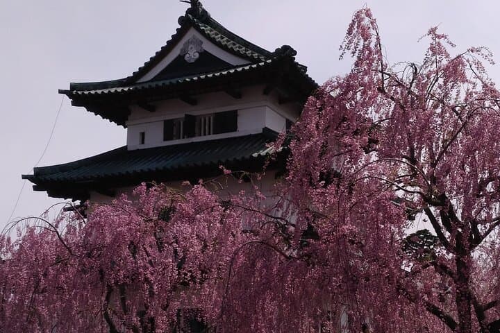 Half-Day Hirosaki Castle and Samurai house Tour with Guide — photo 10