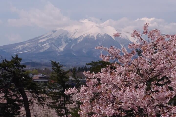 Half-Day Hirosaki Castle and Samurai house Tour with Guide — photo 11