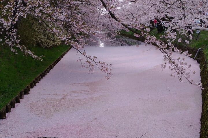 Half-Day Hirosaki Castle and Samurai house Tour with Guide — photo 12