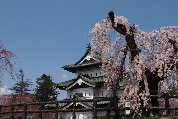 Half-Day Hirosaki Castle and Samurai house Tour with Guide — photo 13