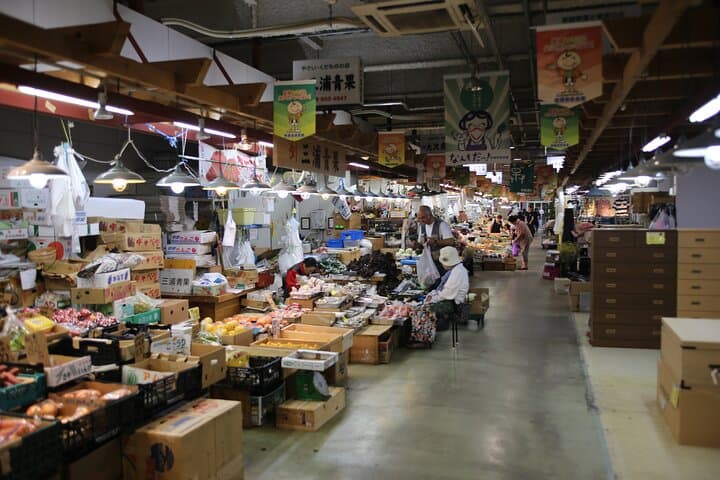 Half Day Private Guided Walking Tour in Akita City Center — photo 9
