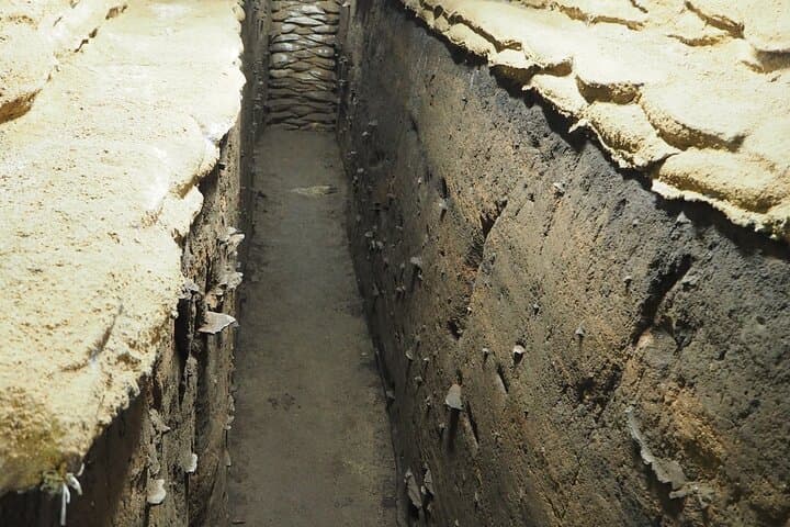 Half-day Private Tour of Jomon Archaeological site and art Museum — photo 3