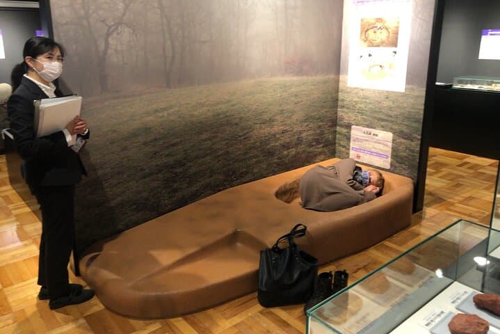 Half-day JOMON World Cultural Heritage Sites Tour in Aomori City — photo 5