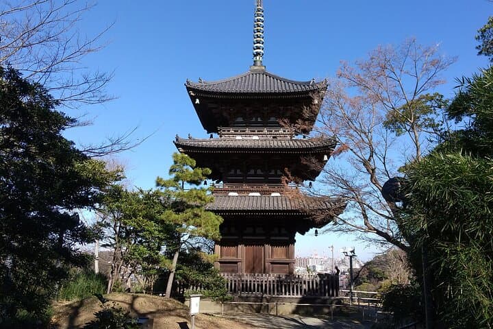 Guided History & Nature Exploration in the Yokohama Hill Area — photo 14