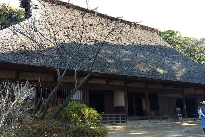 Guided History & Nature Exploration in the Yokohama Hill Area — photo 17