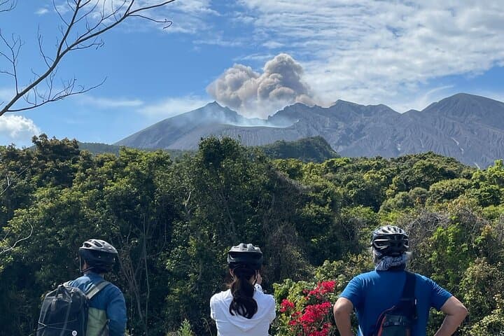 Sakurajima One Day Round Journey with E-bike — photo 9