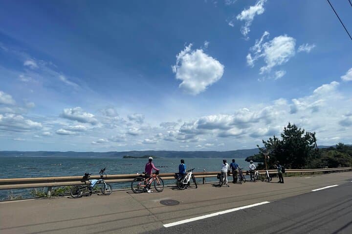 Sakurajima One Day Round Journey with E-bike — photo 11