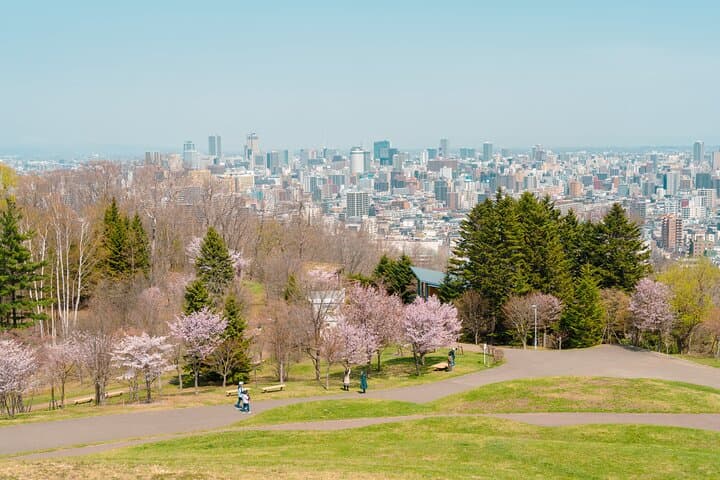 Sapporo Private Customizable Full Day Tour — photo 2