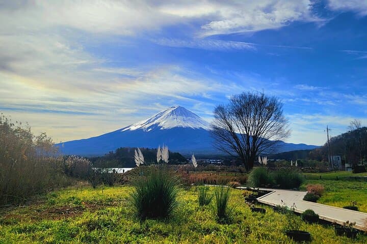 Mount fuji and Hakone Full day private sightseeing tour — photo 4