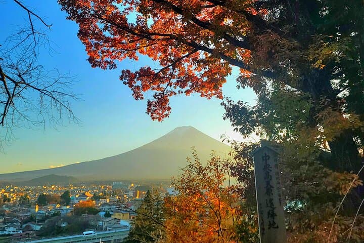 Mount fuji and Hakone Full day private sightseeing tour — photo 6
