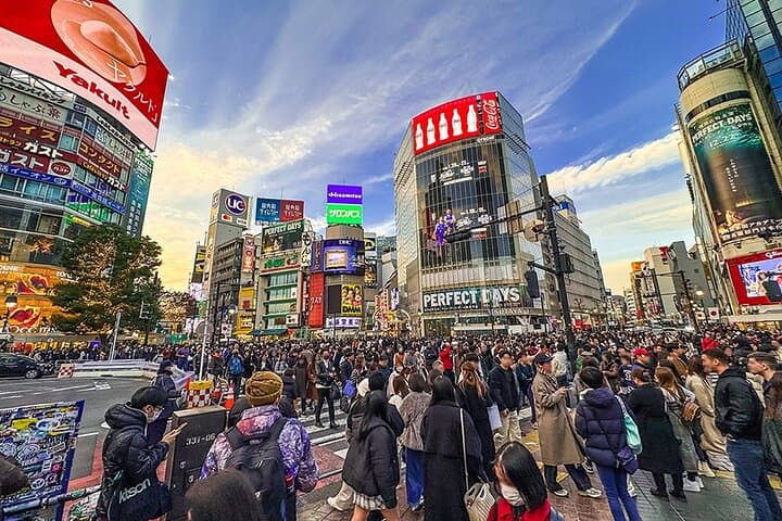 Tokyo Private Guided 1/2-Day Walking Subway Tour English guide — photo 4