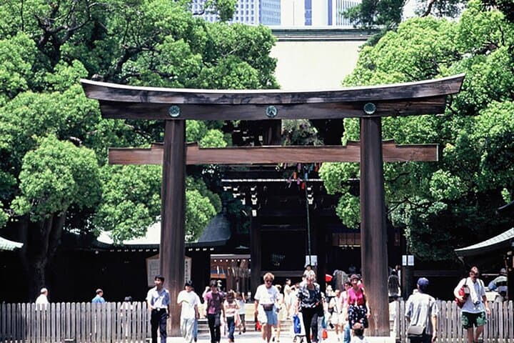 Tokyo Private Guided 1/2-Day Walking Subway Tour English guide — photo 2