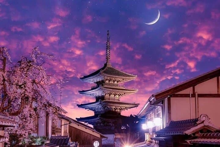 Kyoto, Osaka, Nara Private Tour by Car English Driver Guide — photo 6