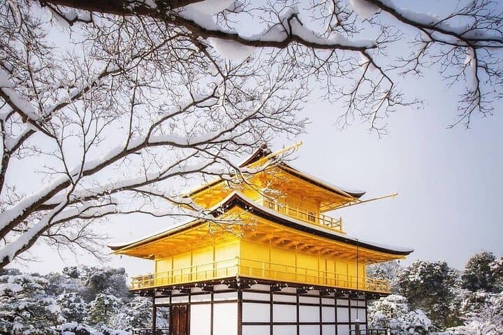 Kyoto, Osaka, Nara Private Tour by Car English Driver Guide — photo 7