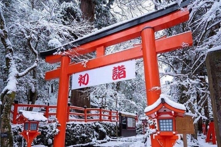 Kyoto, Osaka, Nara Private Tour by Car English Driver Guide — photo 8