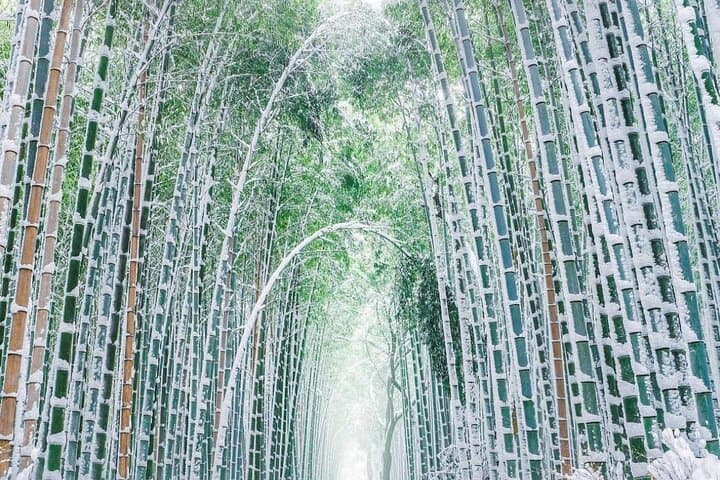 Kyoto, Osaka, Nara Private Tour by Car English Driver Guide — photo 9